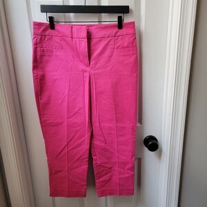 Ann Taylor Capri Pants